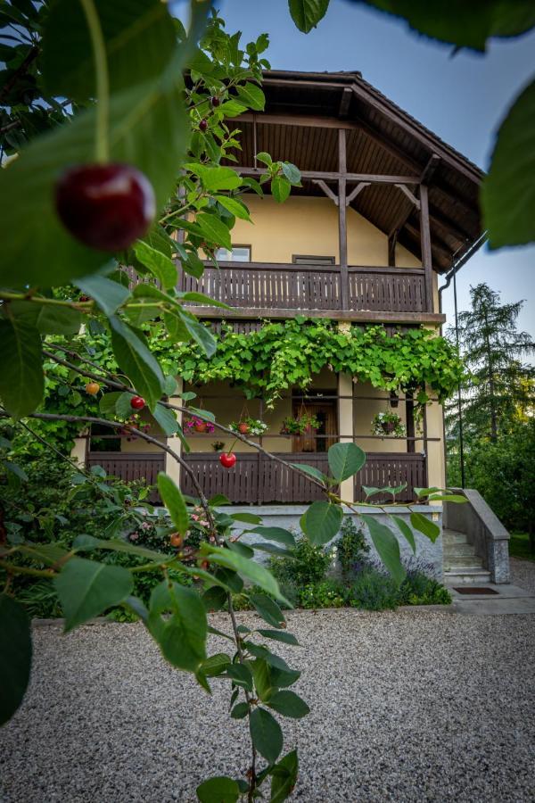 Villa Anna ブレッド エクステリア 写真