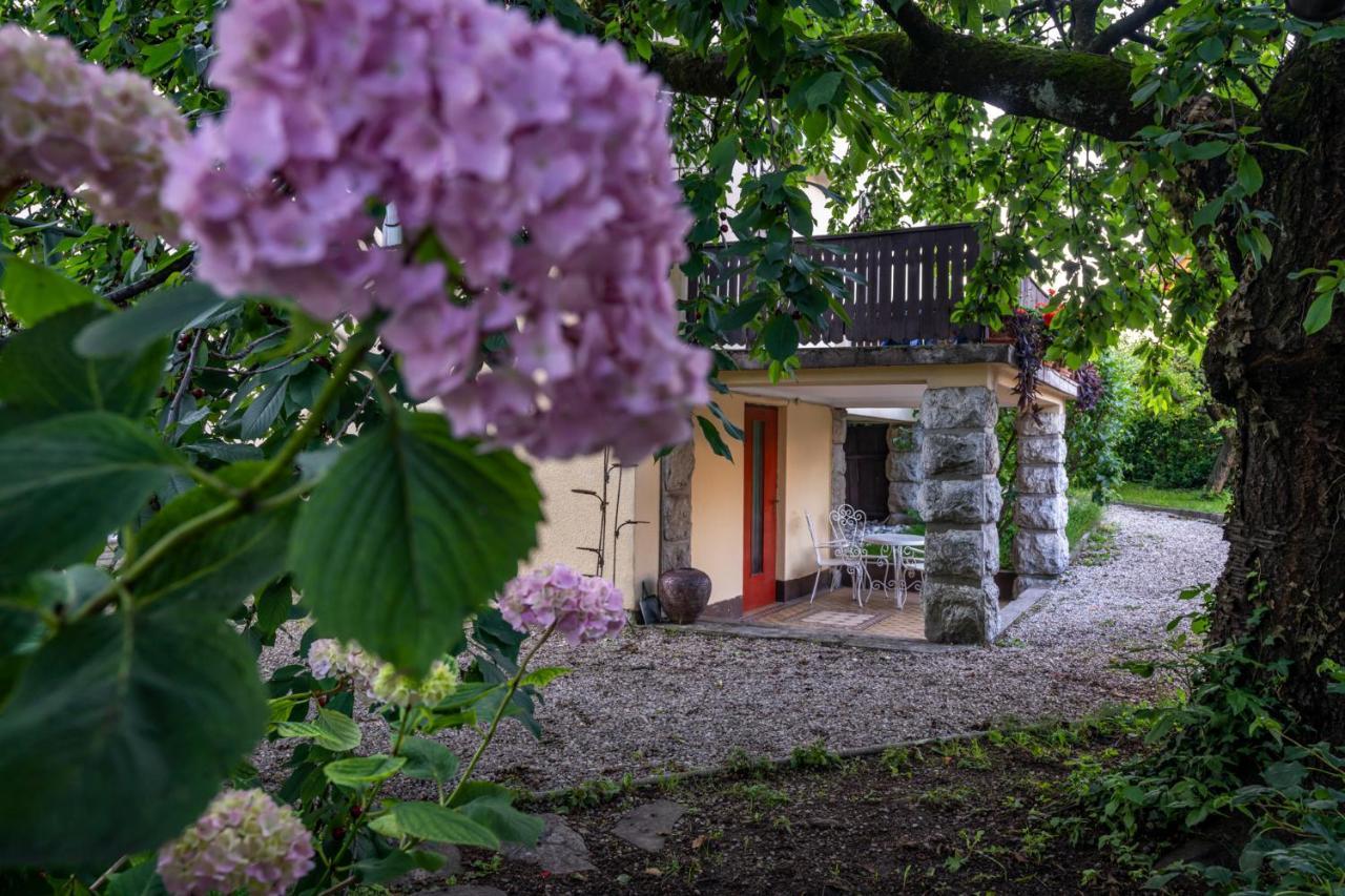 Villa Anna ブレッド エクステリア 写真