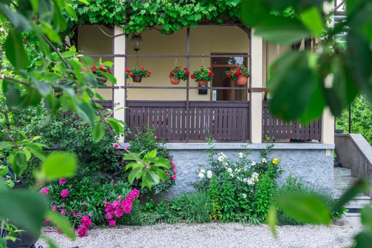 Villa Anna ブレッド エクステリア 写真